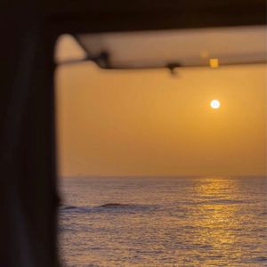 变性人性爱操逼视频
